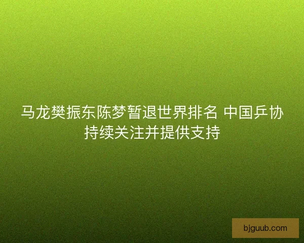 马龙樊振东陈梦暂退世界排名 中国乒协持续关注并提供支持
